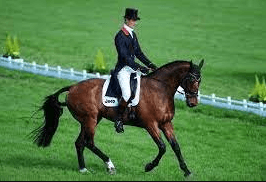 The Art of Horse Riding Commentary: A Comprehensive Guide