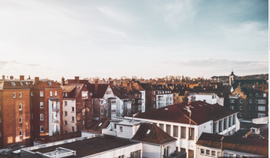 Human Services: Needs Assessment