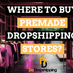 Where to Purchase Premade Dropshipping Stores: A Comprehensive Guide