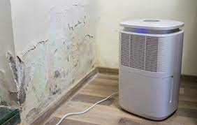 Dehumidifier