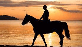 Mastering the Art of Horse Riding Commentary: A Comprehensive Guide