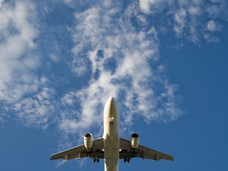 Indian Visa From Japan: Guide for Indonesian Citizens