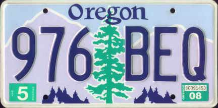 License Plate Lookup Success Stories: Real Cases Revealed