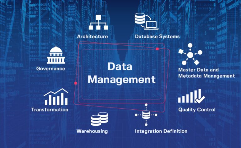 A Deep Dive into the World of Business Data Management