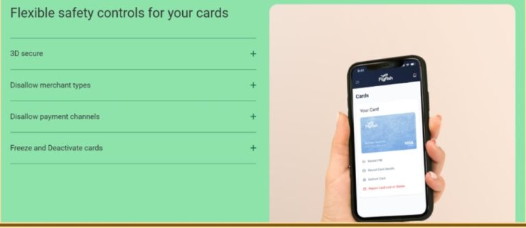 Flyfish Review – Make Secure International Transactions with a Dedicated IBAN