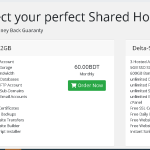Deltahoster – the Best Domain Hosting Company in Bangladesh
