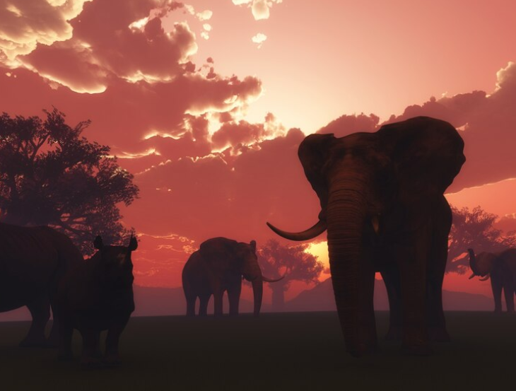 Kenya's Big Five Unveiling the Icons of the African Bush